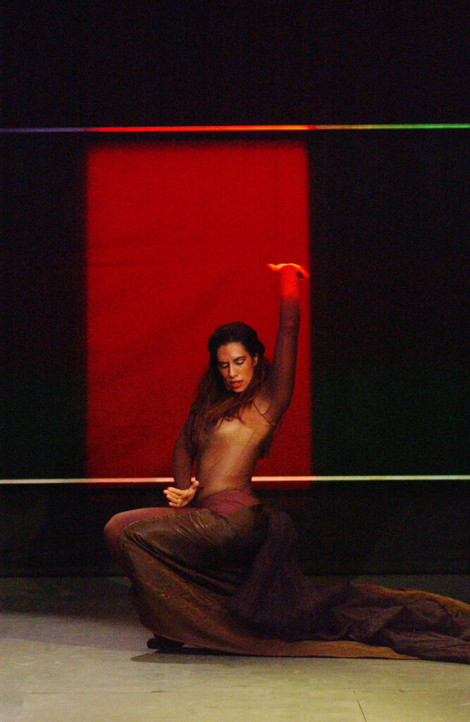 Flamencos en route mit centaura y flamenca