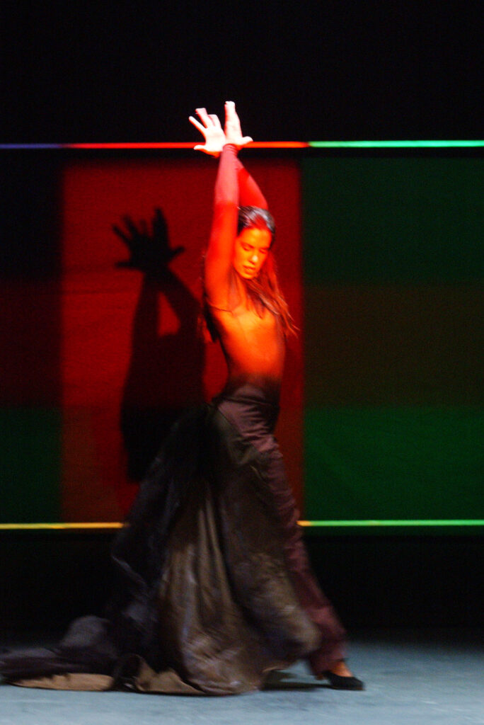 Flamencos en route mit centaura y flamenca