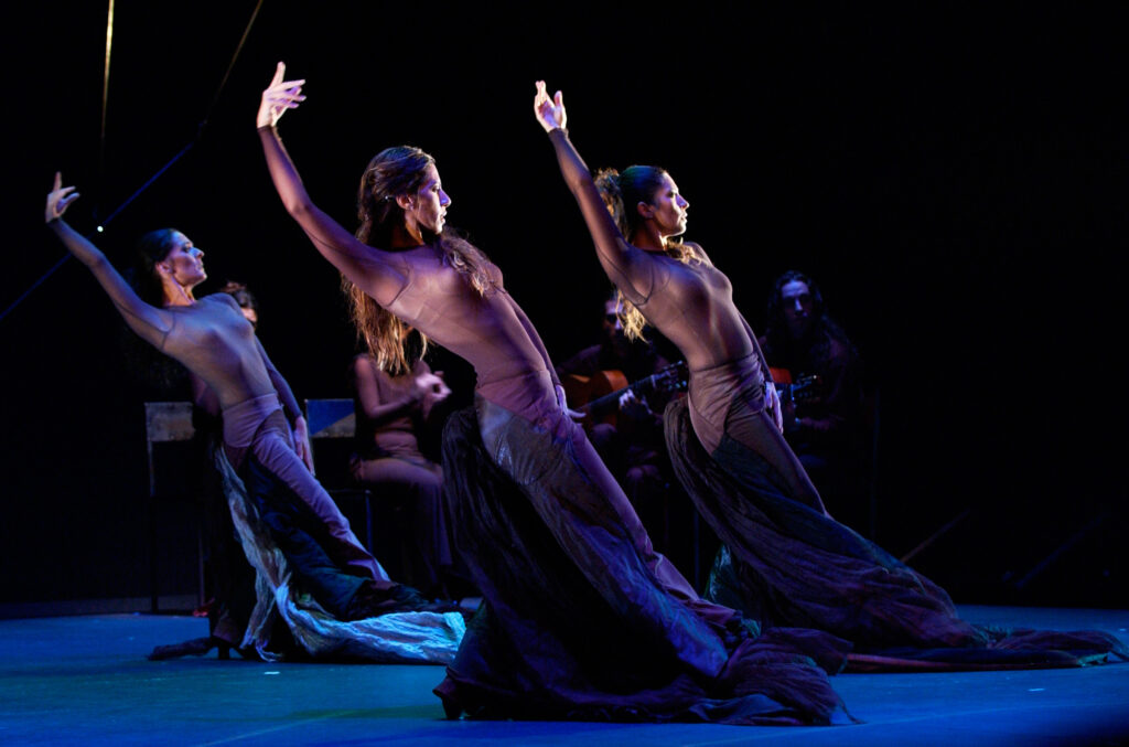 Flamencos en route: caprichos i