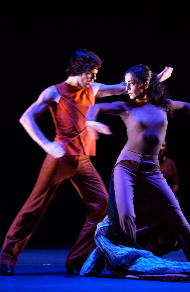 Flamencos en route: caprichos i