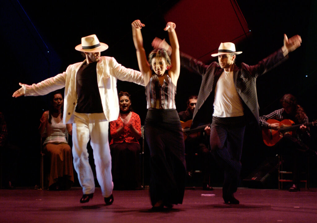 Flamencos en route: caprichos ii