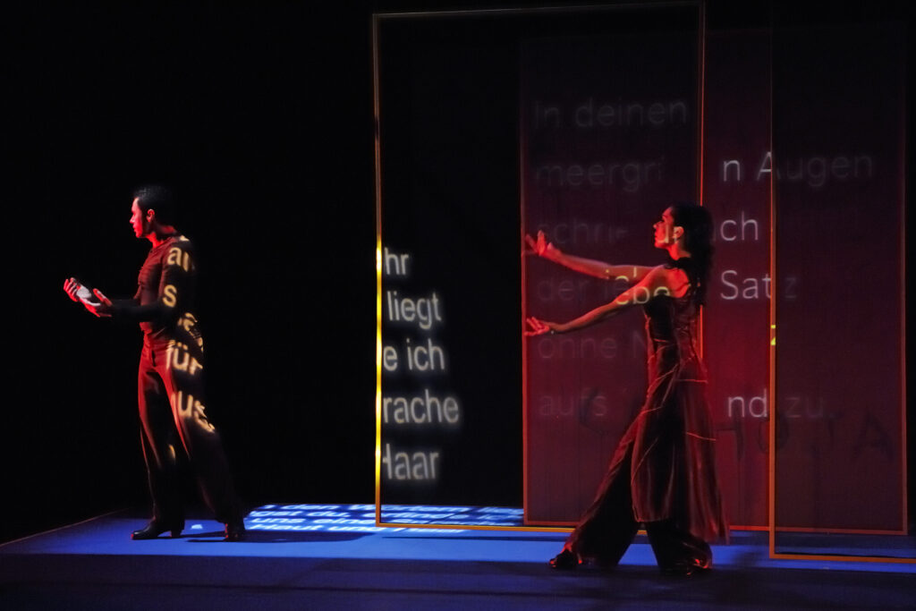 Flamencos en route mírame 02 asp3872