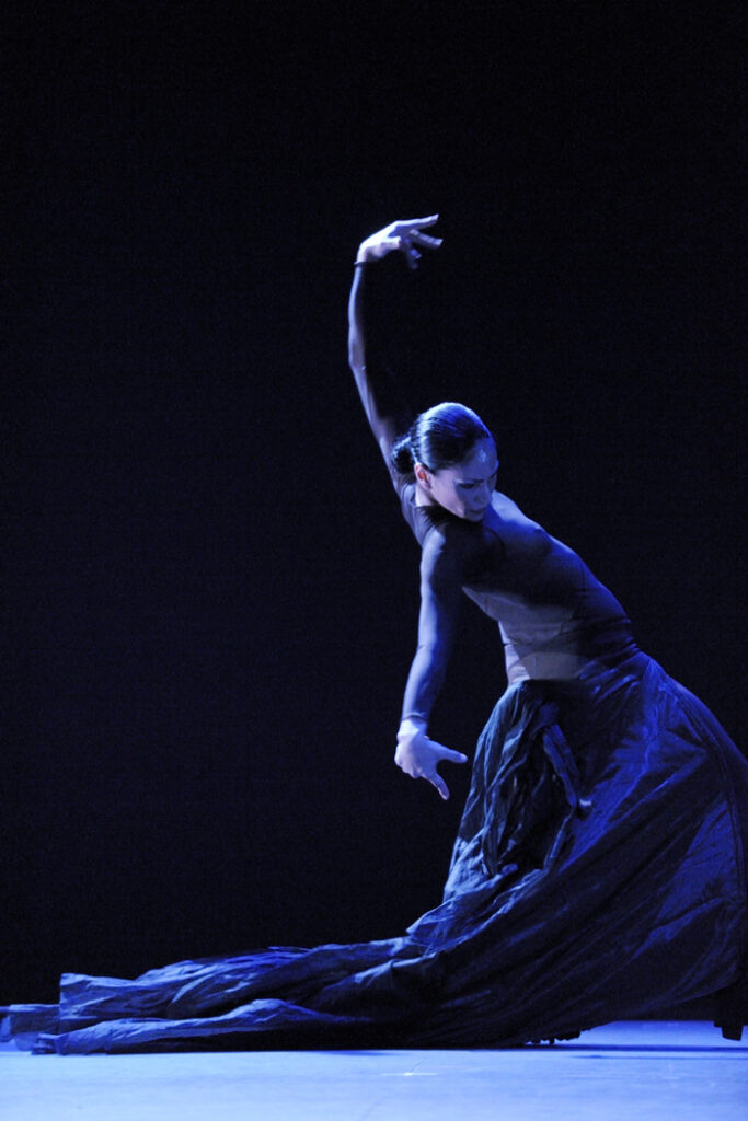 Flamencos en route florescencia 06 centaura asp8971