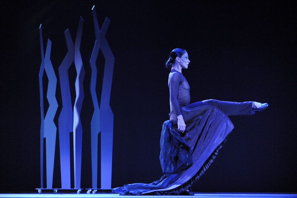 Flamencos en route florescencia 06 Centaura ASP8942