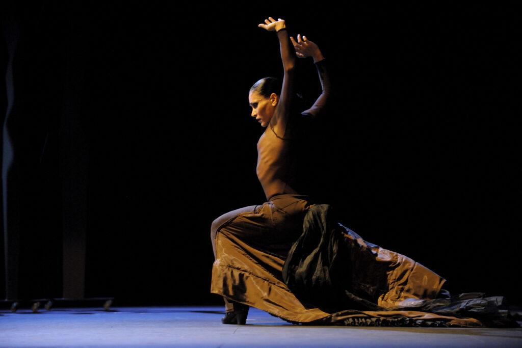 Flamencos en route florescencia 06 Centaura ASP8959