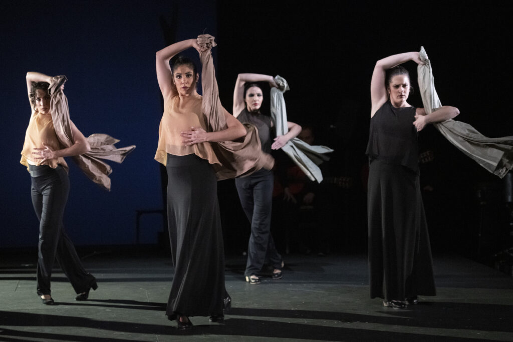 Ay! viñetas de Lorca, Flamencos en route