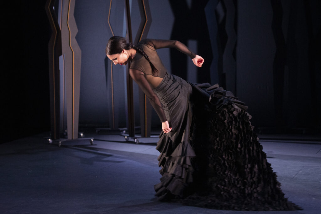 Ay! viñetas de Lorca, Flamencos en route