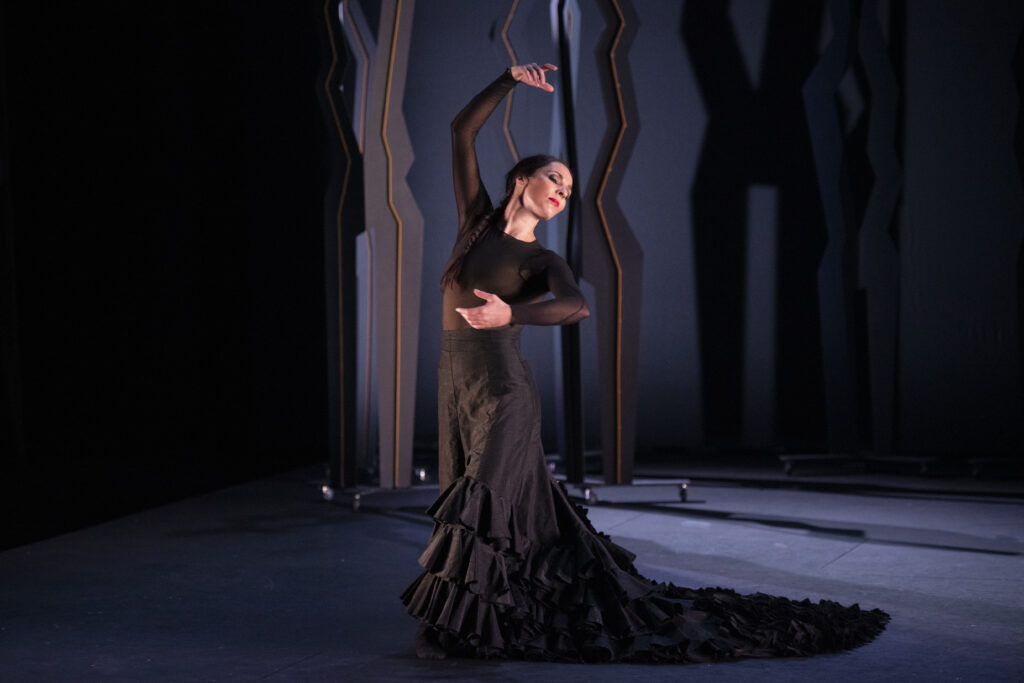 Ay! viñetas de Lorca, Flamencos en route