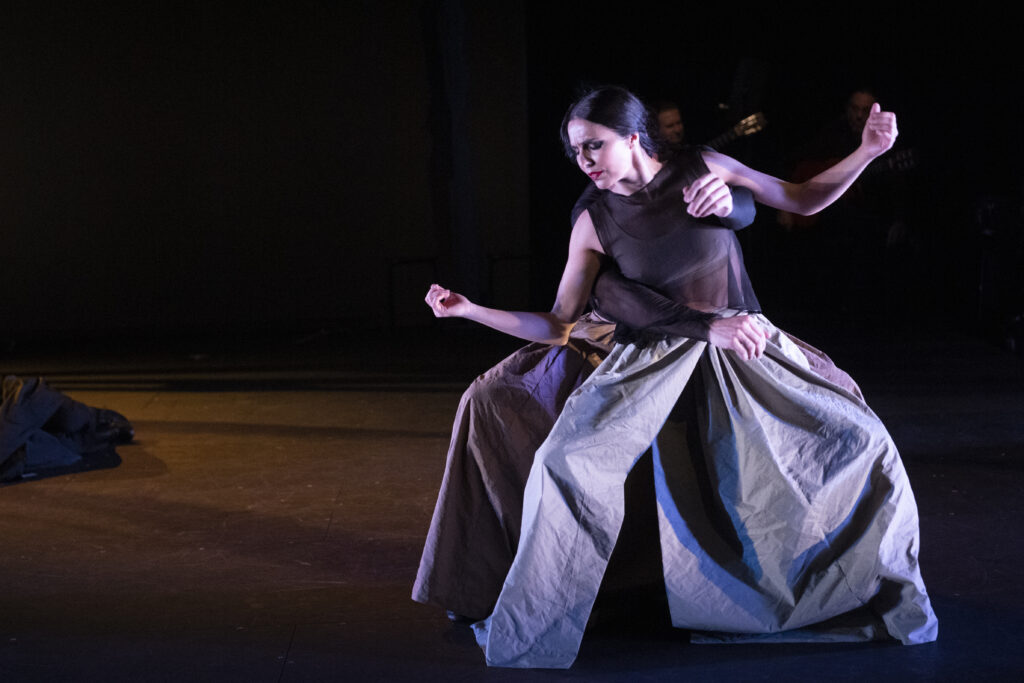 Ay! viñetas de Lorca, Flamencos en route