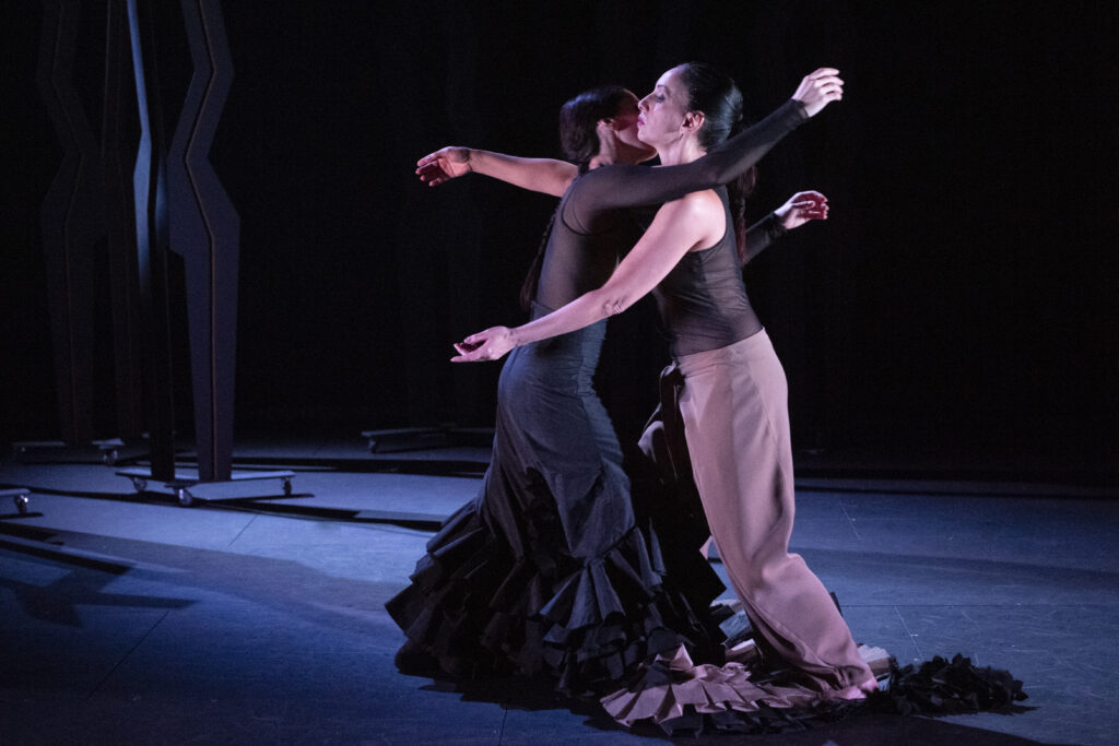 Ay! viñetas de Lorca, Flamencos en route