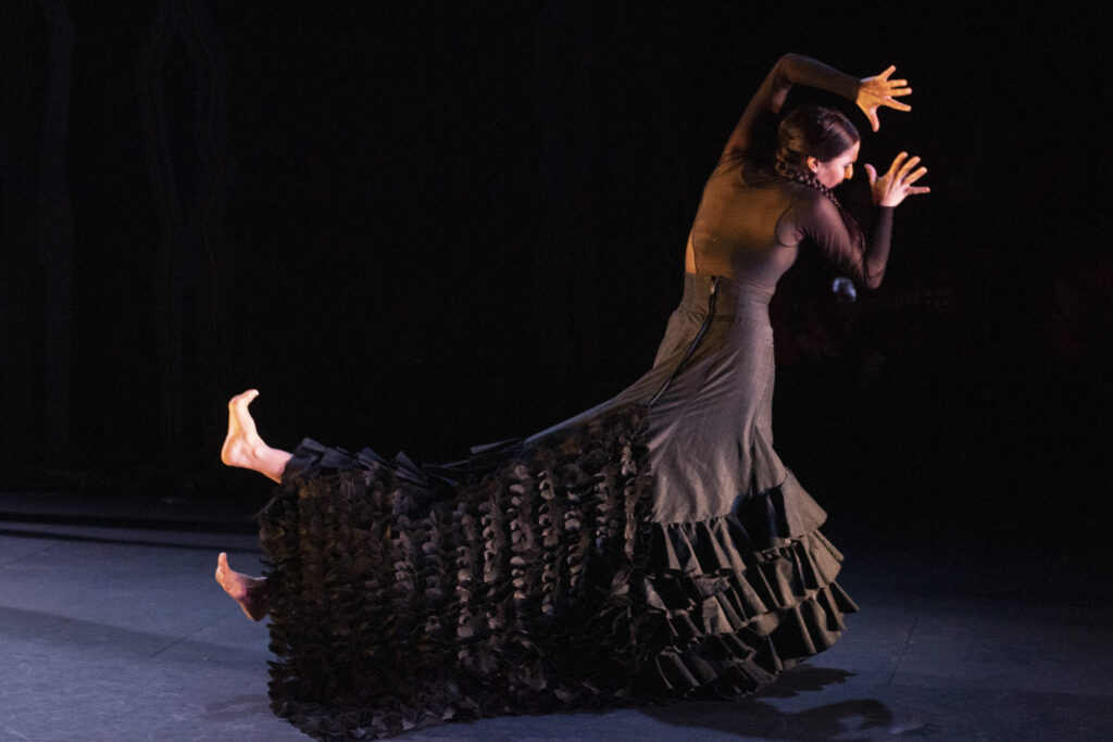 Ay! viñetas de Lorca, Flamencos en route