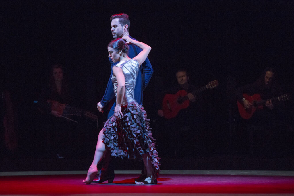 .... adondé va siguiriya capricho flamenco