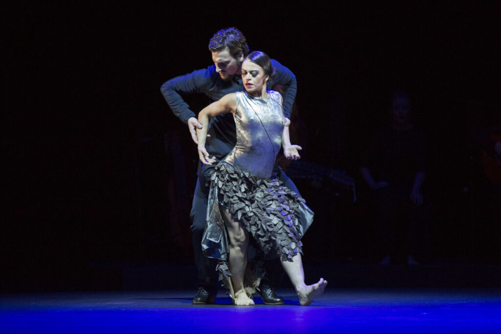 .... adondé va siguiriya capricho flamenco