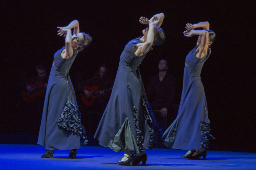 .... adondé va siguiriya capricho flamenco