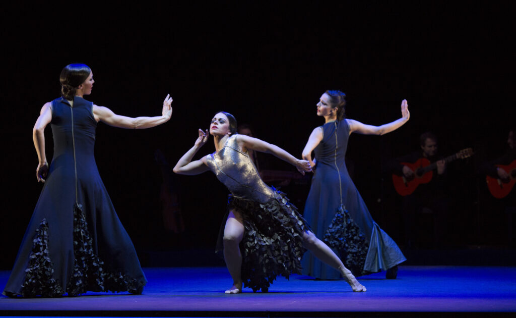 .... adondé va siguiriya capricho flamenco ch.: Brigitta Merki