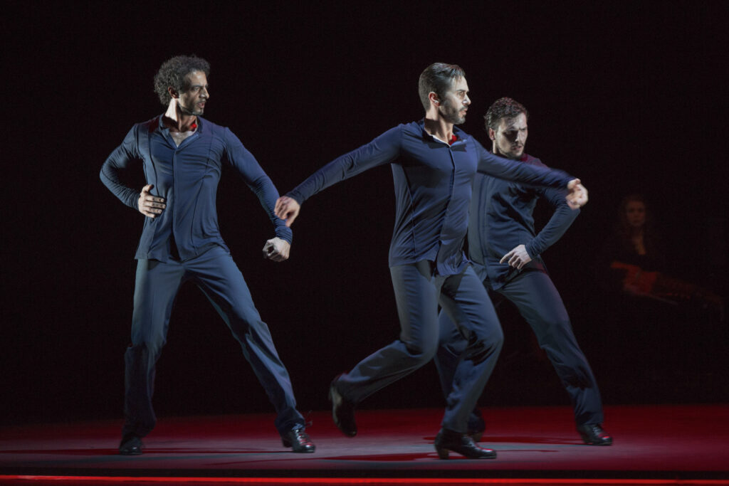 .... adondé va siguiriya capricho flamenco ch.: Brigitta Merki