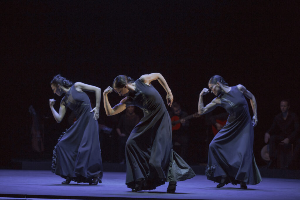 .... adondé va siguiriya capricho flamenco ch.: Brigitta Merki