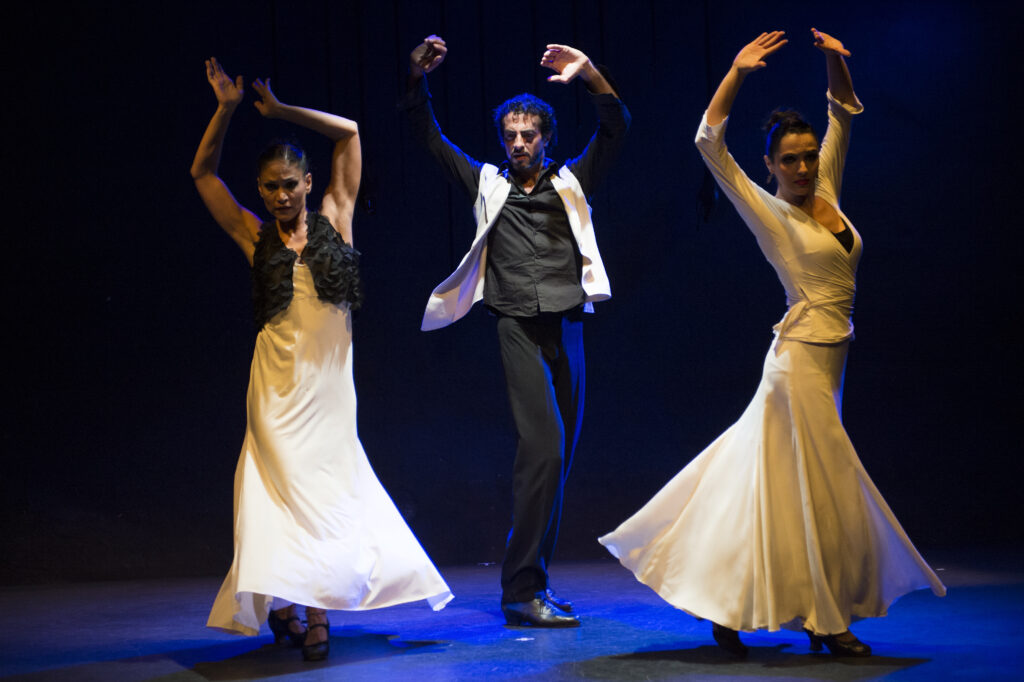 Paso por paso, Flamencos en route