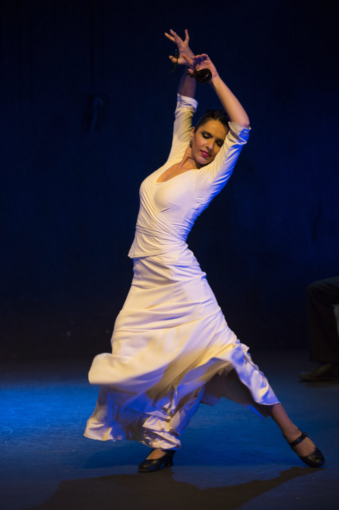 Paso por paso, Flamencos en route