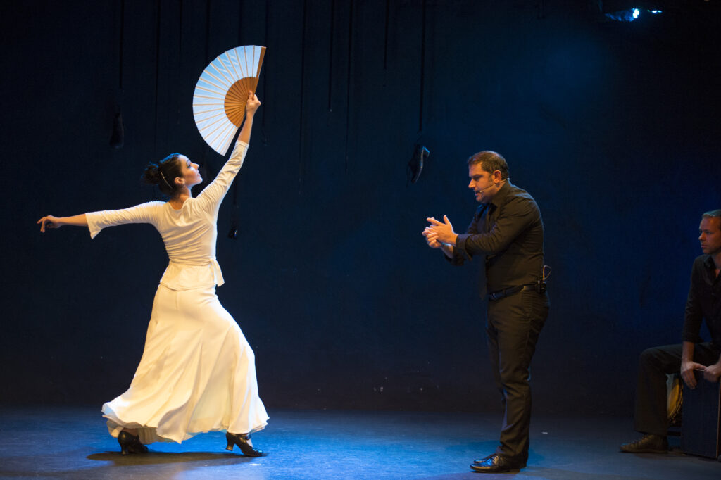 Paso por paso, Flamencos en route