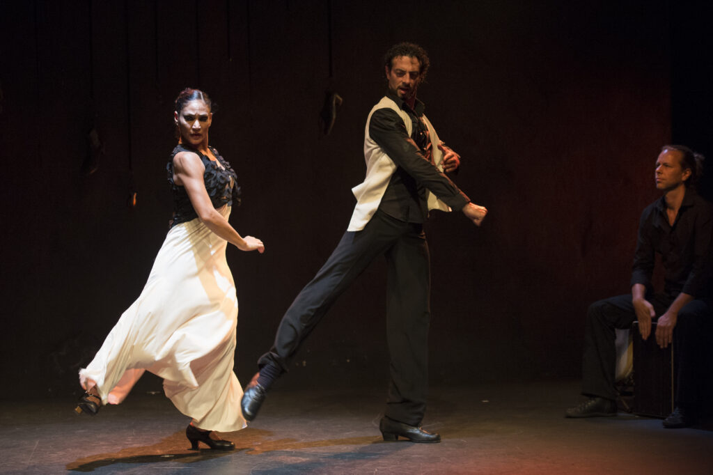 Paso por paso, Flamencos en route