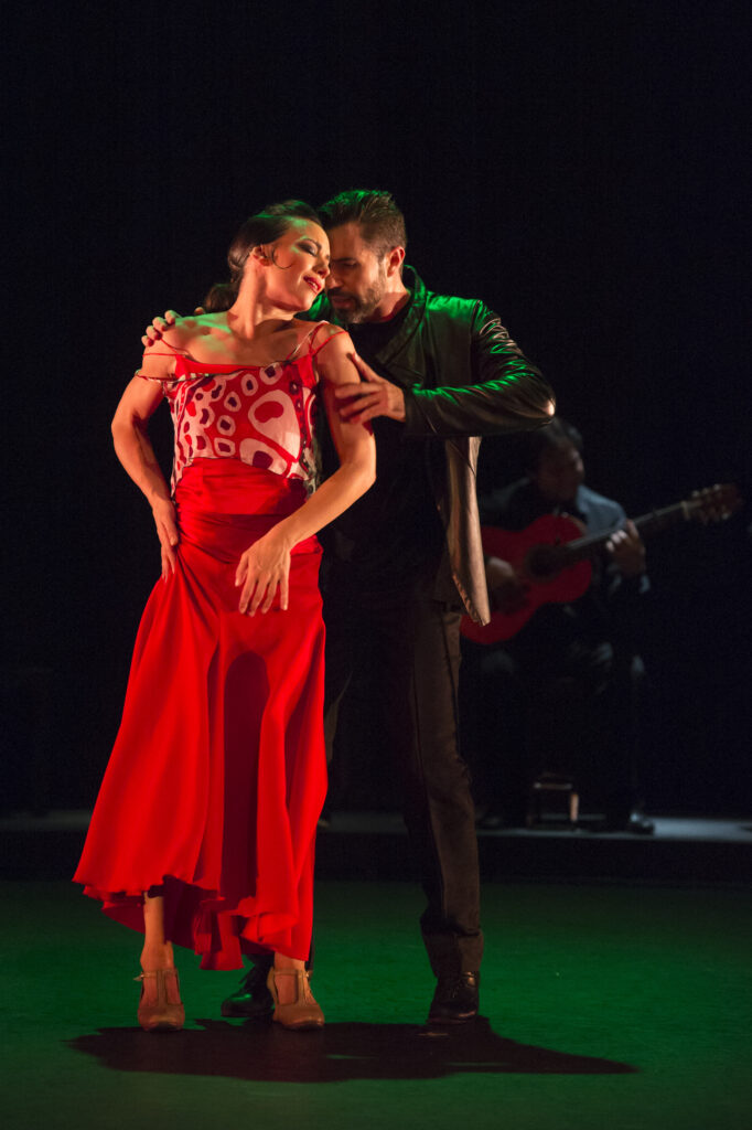 Flamencos en route: perlas peregrinas