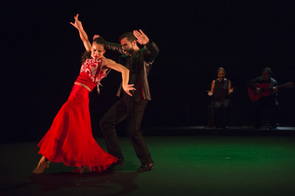 Flamencos en route: perlas peregrinas