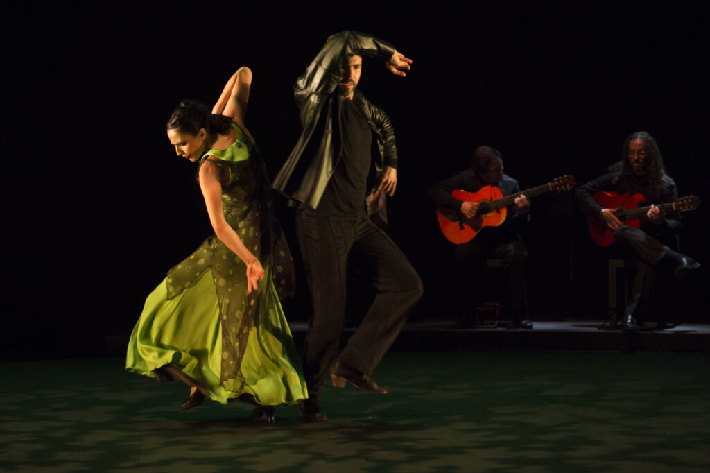 Flamencos en route: perlas peregrinas