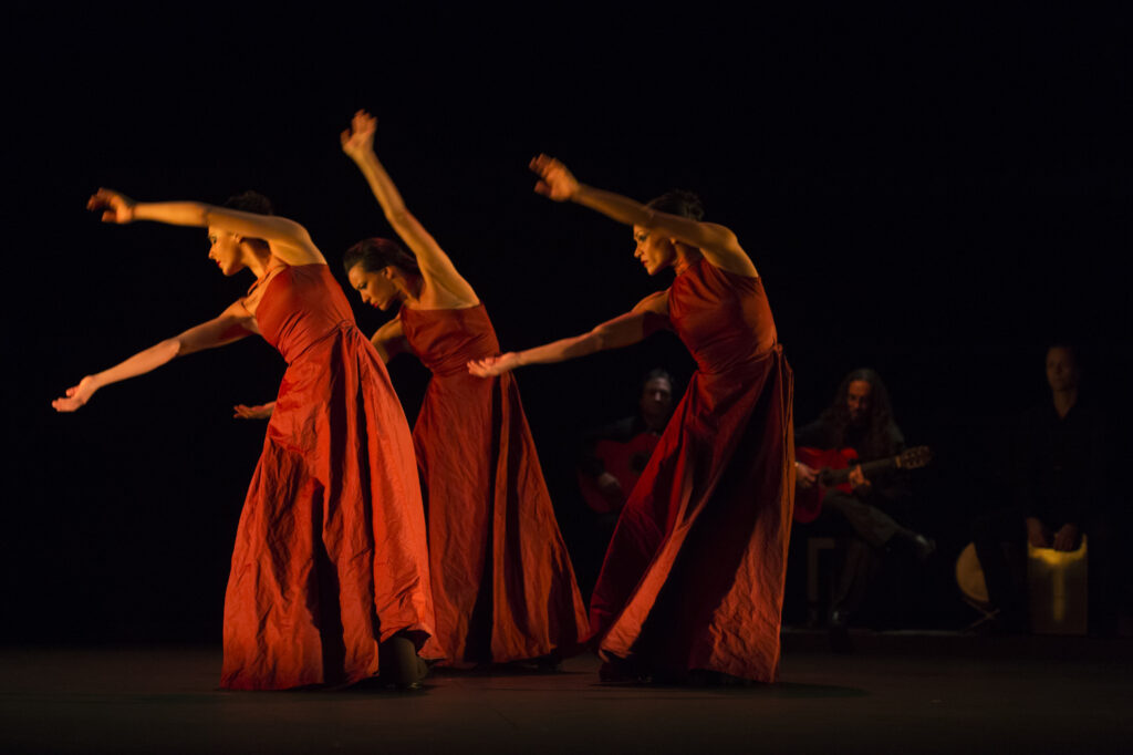 Flamencos en route: perlas peregrinas