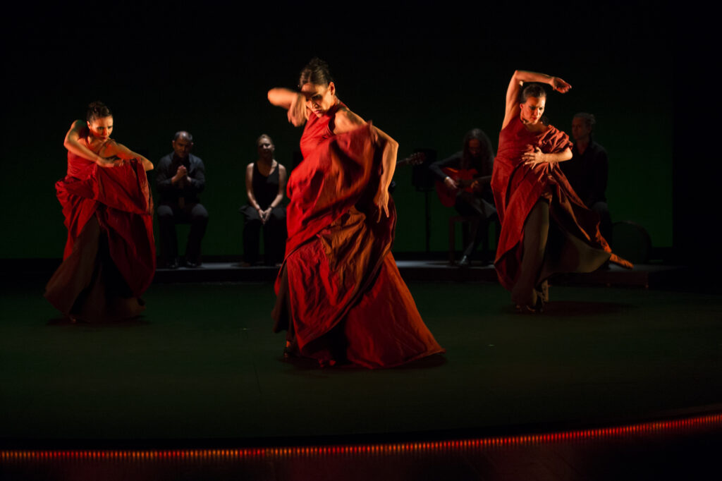 Flamencos en route: perlas peregrinas